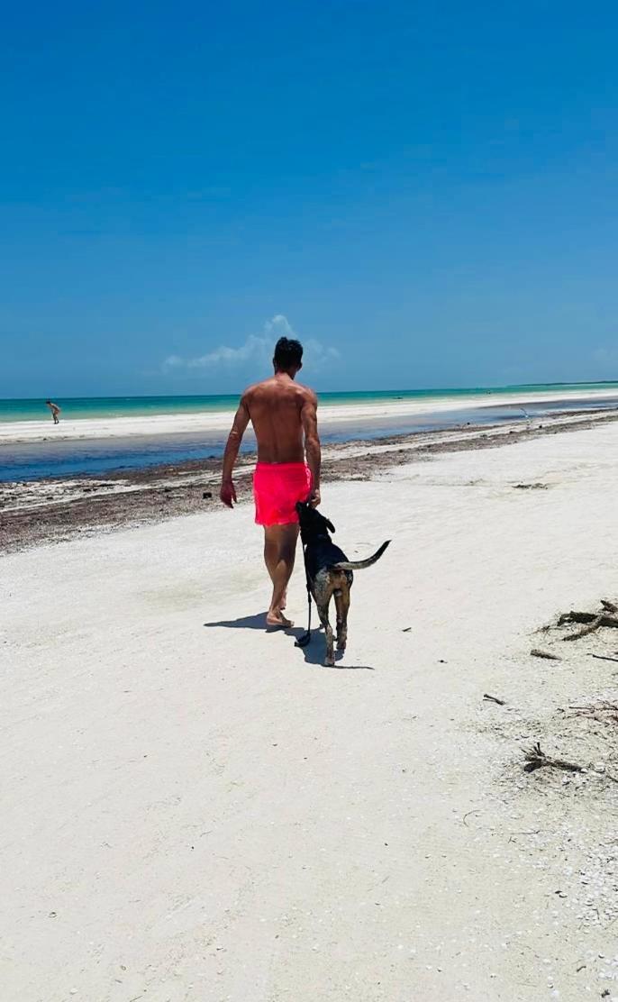 Pachamama Holbox - Hostel & Private Apartments Esterno foto