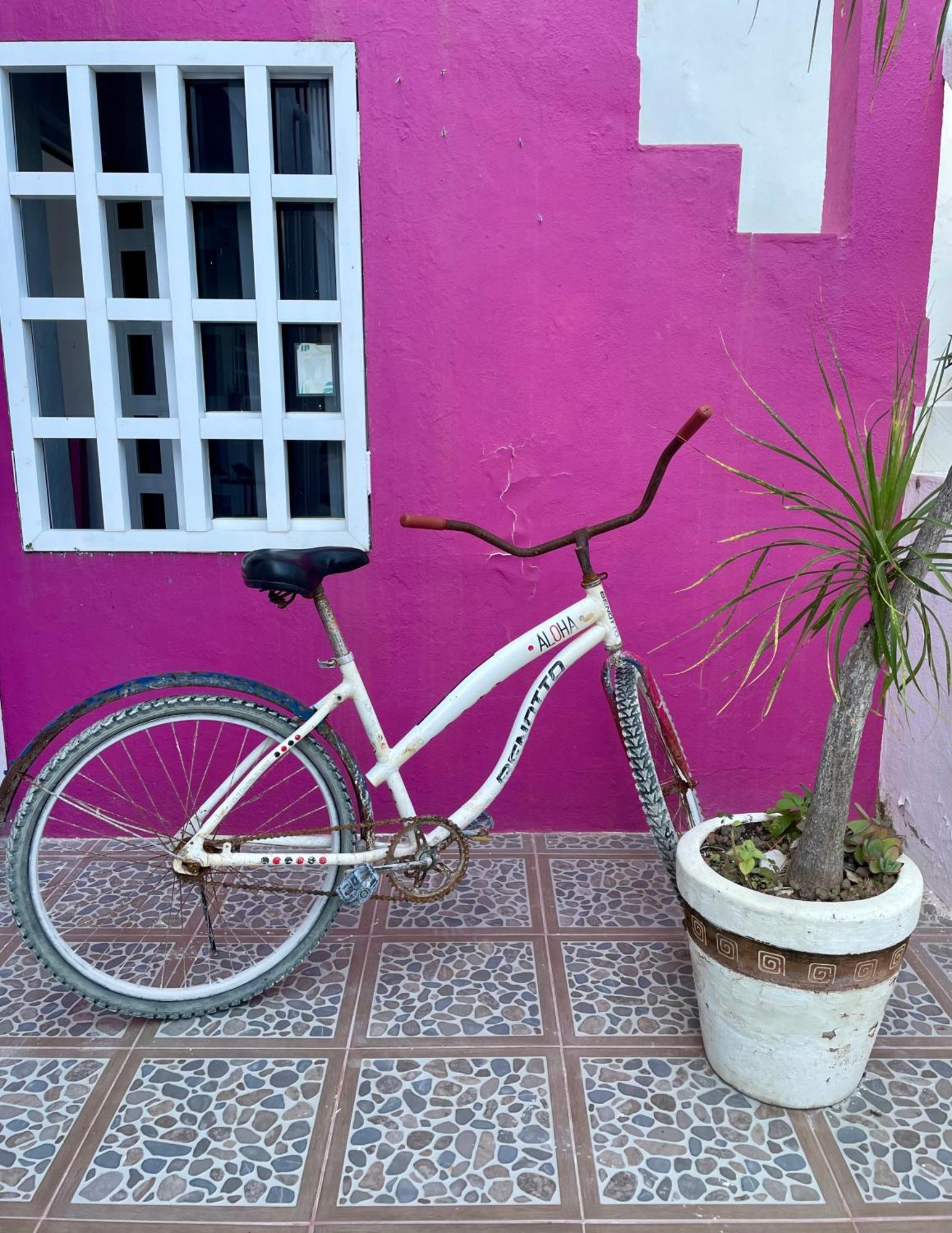 Pachamama Holbox - Hostel & Private Apartments Esterno foto