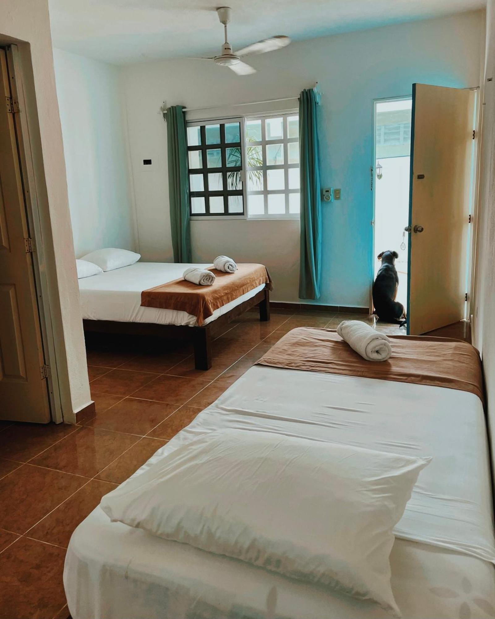Pachamama Holbox - Hostel & Private Apartments Esterno foto